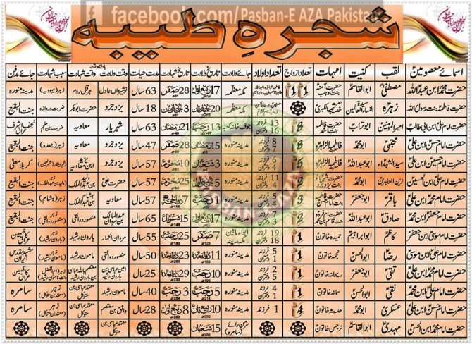 14 Masoomeen Brief Biography