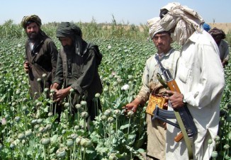 AFGHAN DRUGS