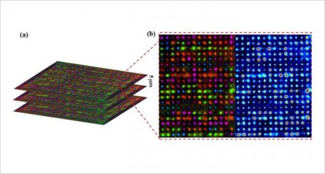 Polarized Memory Chip