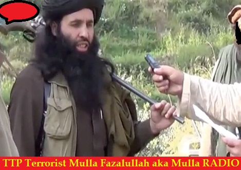 Mulla Fazalullah TTP Comander aka Mullah Radio