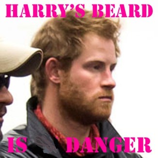 Prince Harry's Beard a Danger