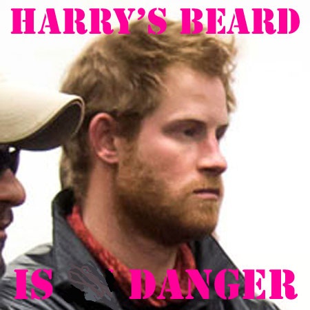 Prince Harry's Beard a Danger