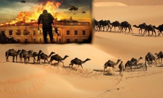 Sinai Desert to Washington US