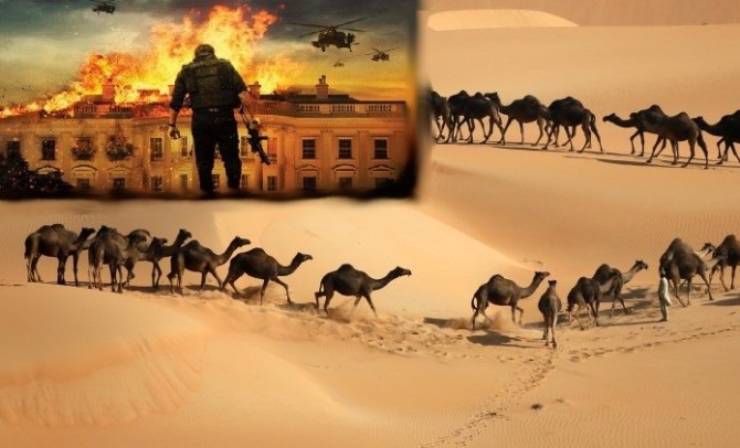 Sinai Desert to Washington US