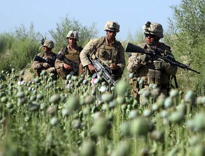 Marines in Poppies