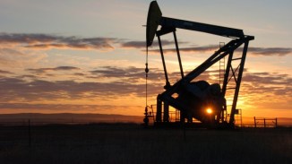 Crude Oil Prices slumps at 11 Year Low